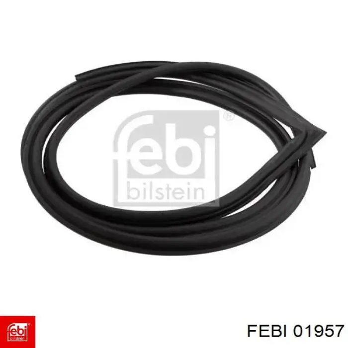  01957 Febi