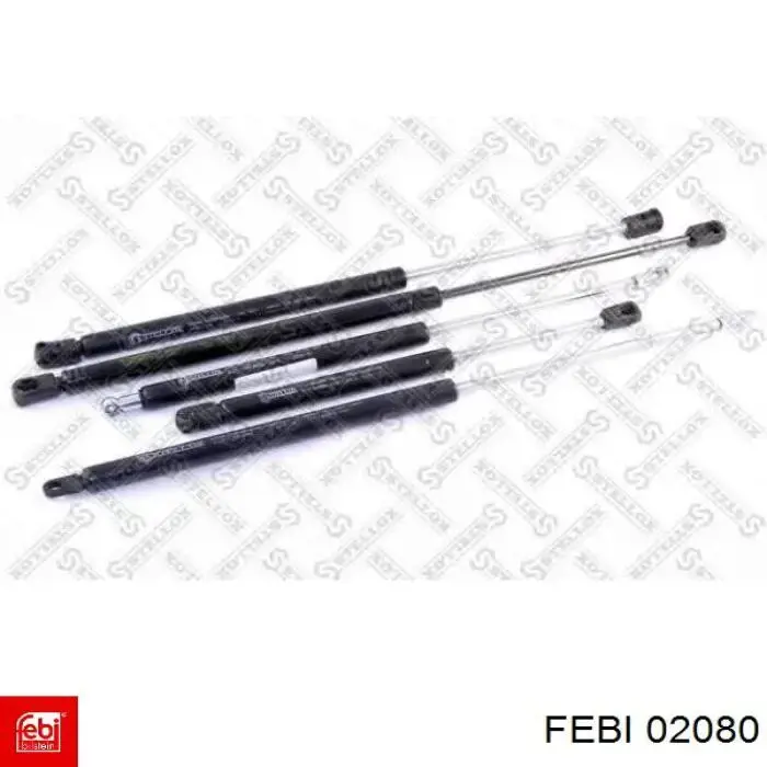 Болт головки блока циліндрів Febi 02080