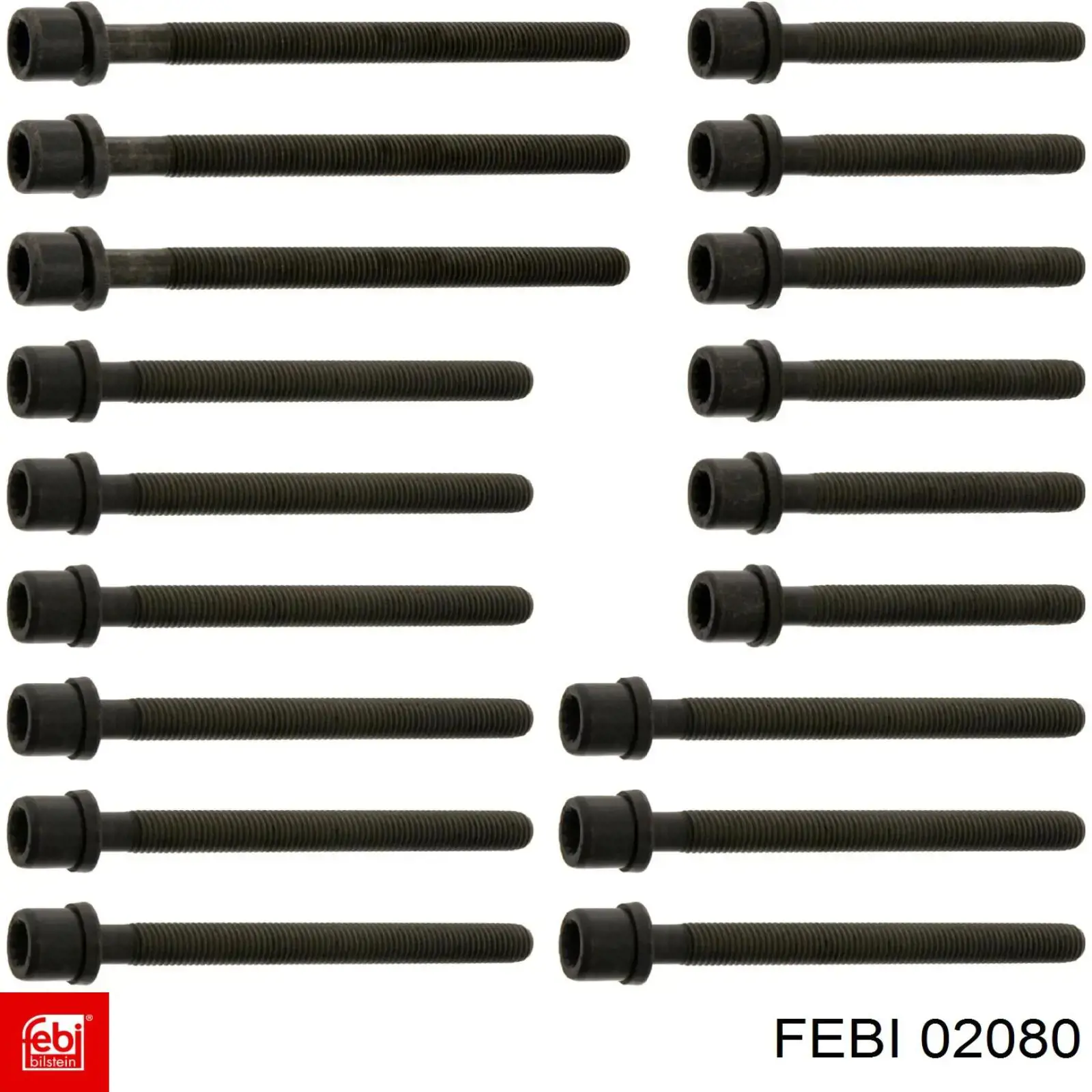 Купити 02080 Febi Болт гбц