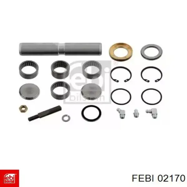 Купити 02170 Febi Ремкомплект шкворня поворотного кулака