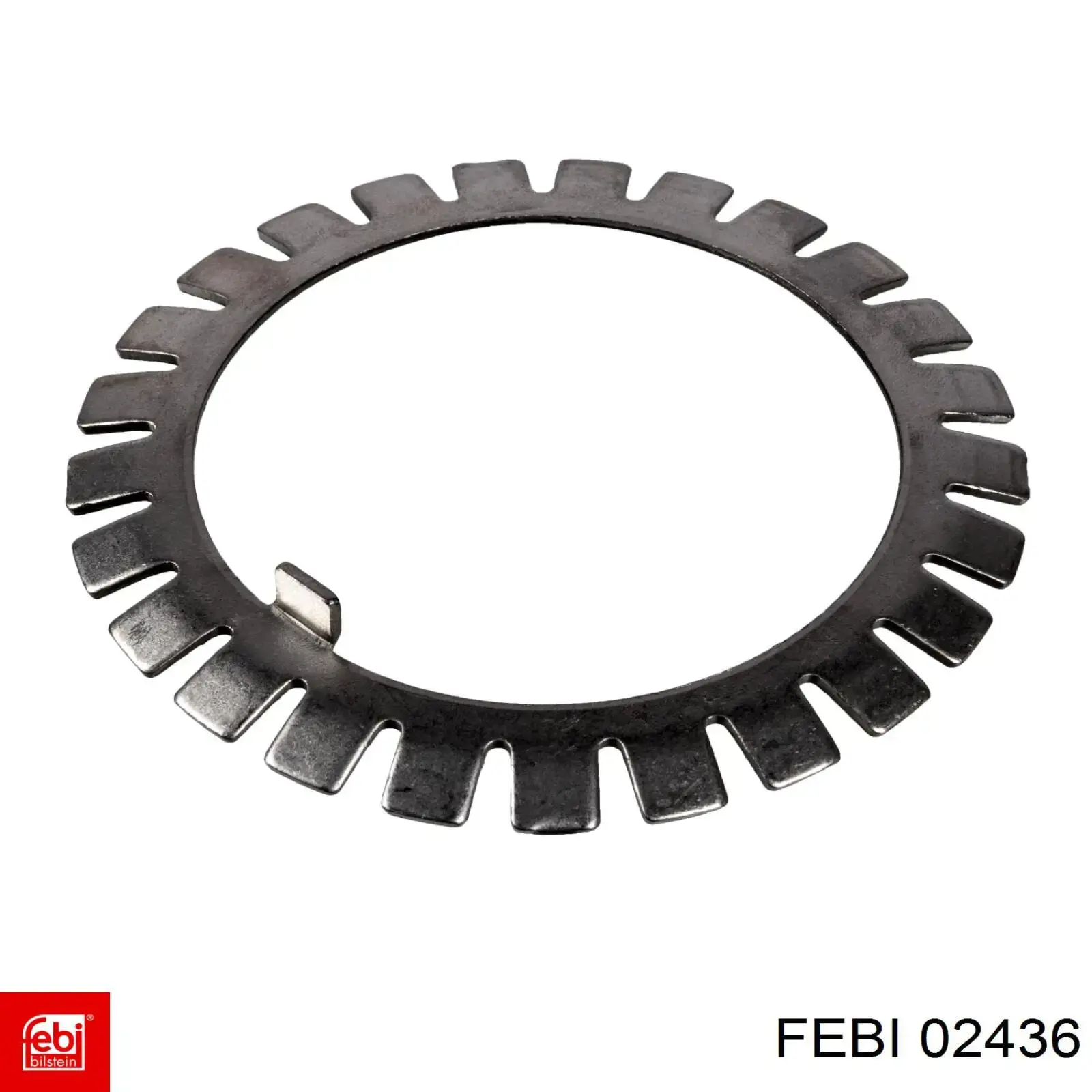  02436 Febi