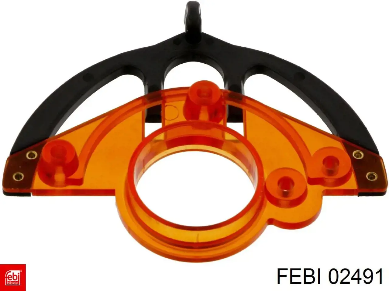  02491 Febi