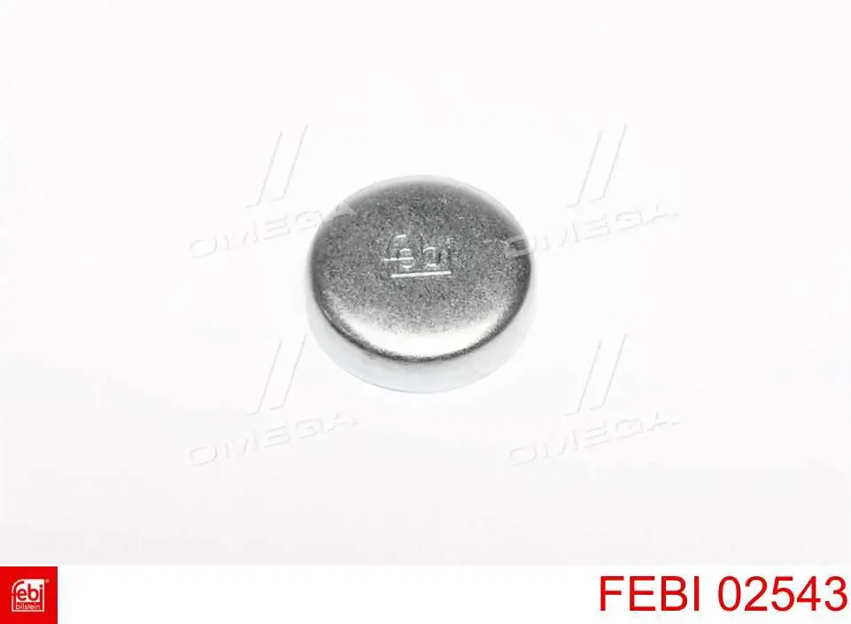Купити 02543 Febi Заглушка блоку циліндрів
