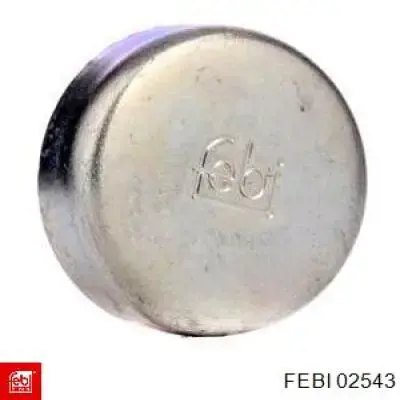 Заглушка ГБЦ/блоку циліндрів Febi 02543 ціна, від 0.54 USD