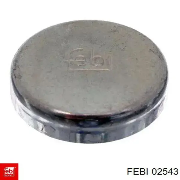 Купити 02543 Febi Заглушка блоку циліндрів