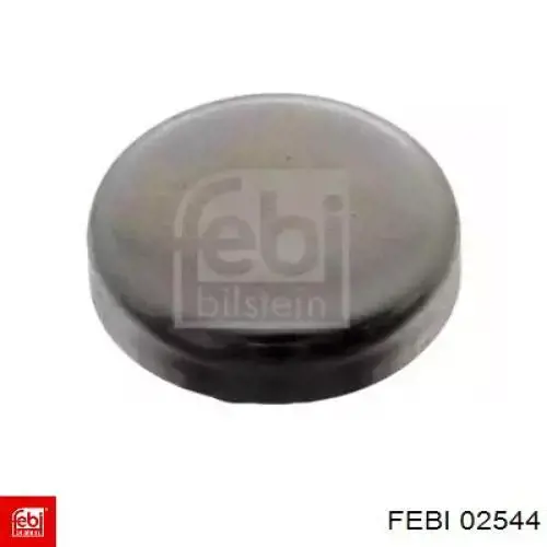 Заглушка блоку циліндрів 02544 Febi