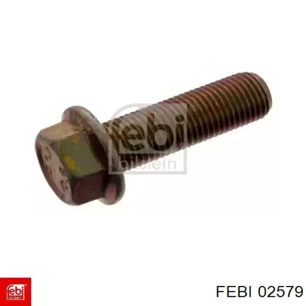  02579 Febi