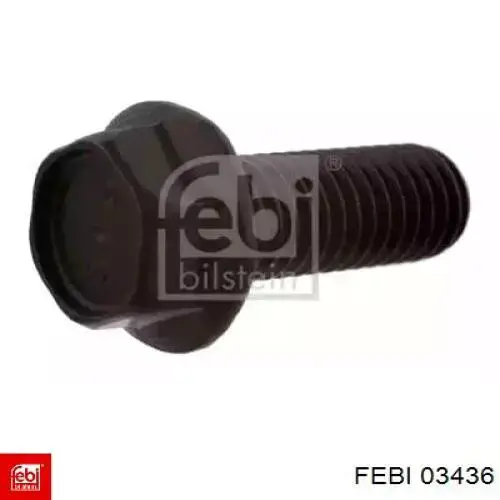 03436 Febi
