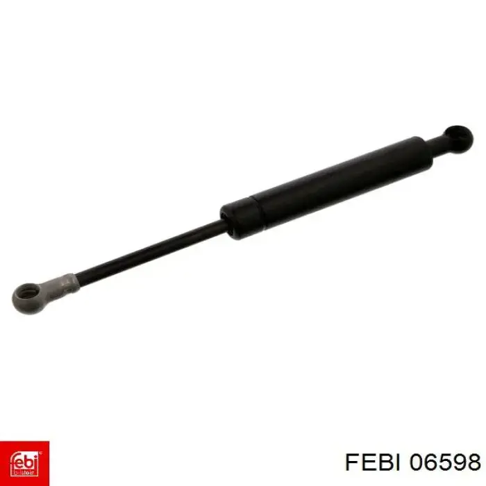  06598 Febi