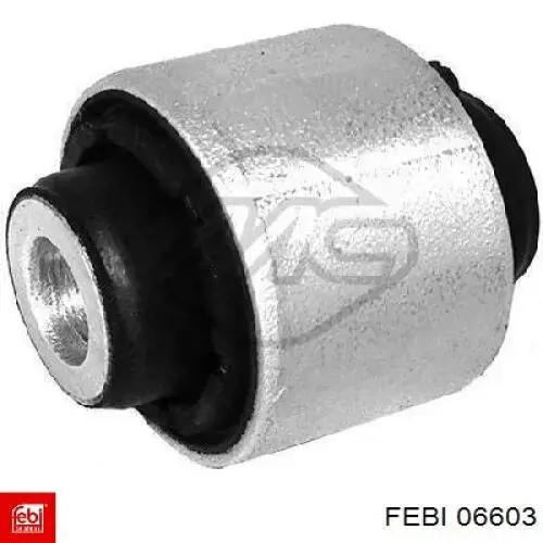  06603 Febi