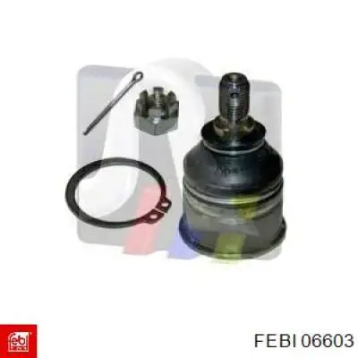  Febi 06603