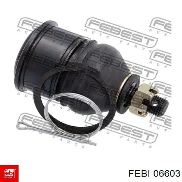 06603 Febi 
