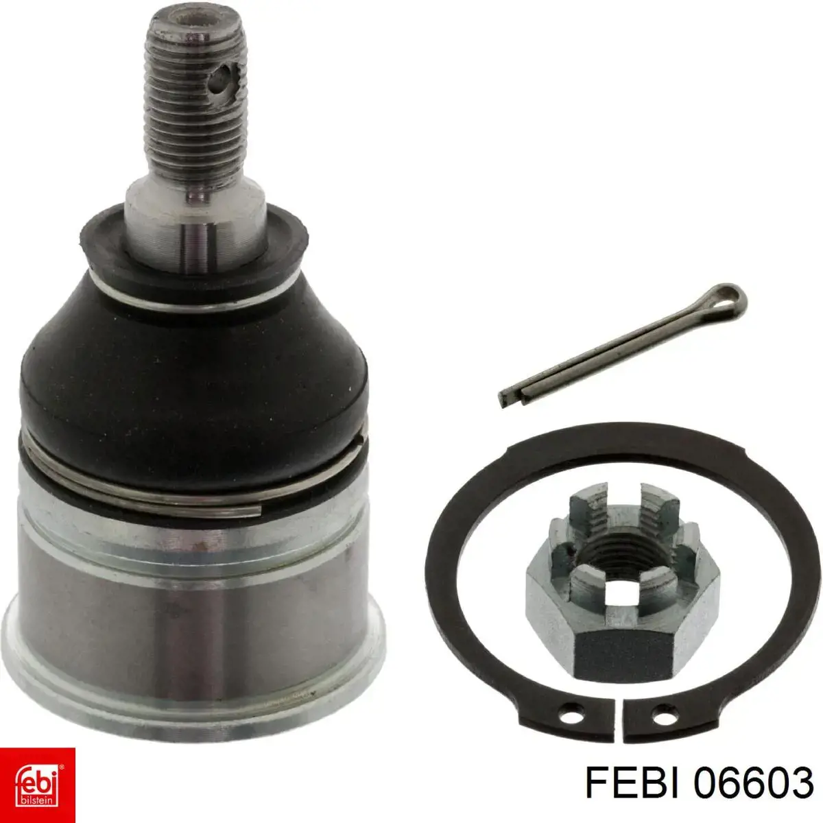  06603 Febi