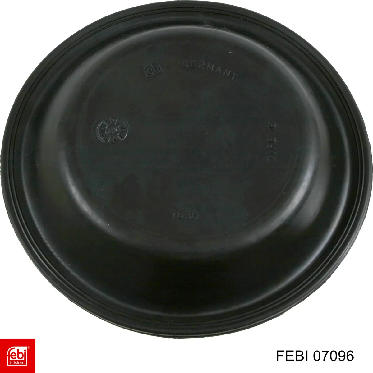 7482902529 Renault (RVI) Мембрана гальмівної камери