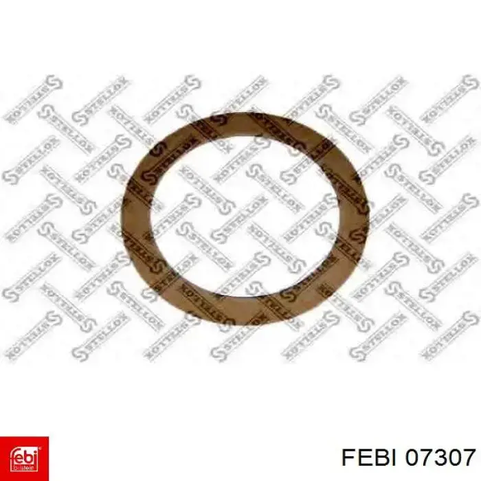  07307 Febi