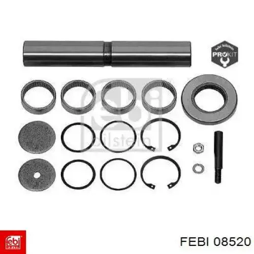 Купити 08520 Febi Ремкомплект шкворня поворотного кулака