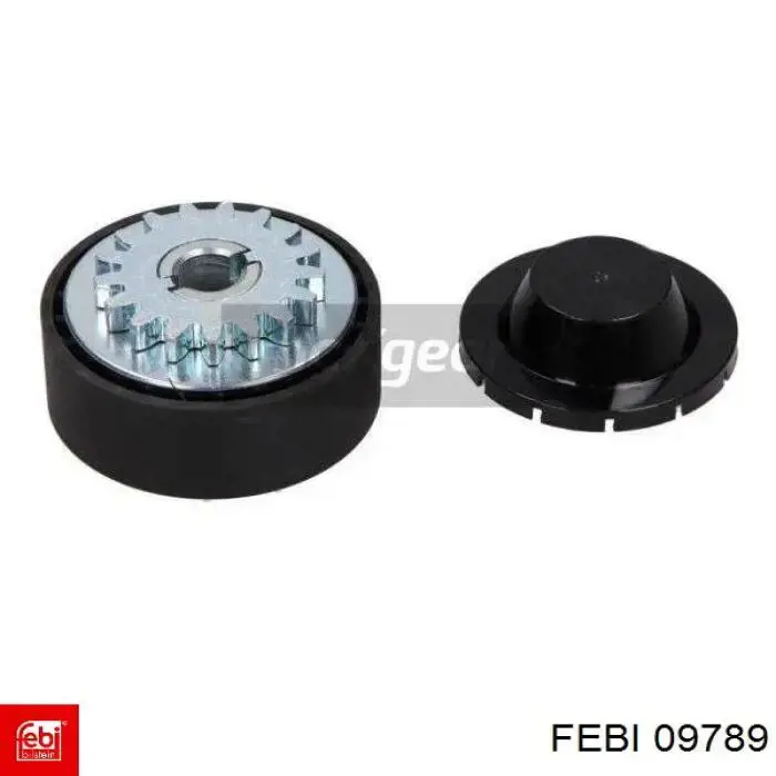 Купити 09789 Febi Натяжний ролик