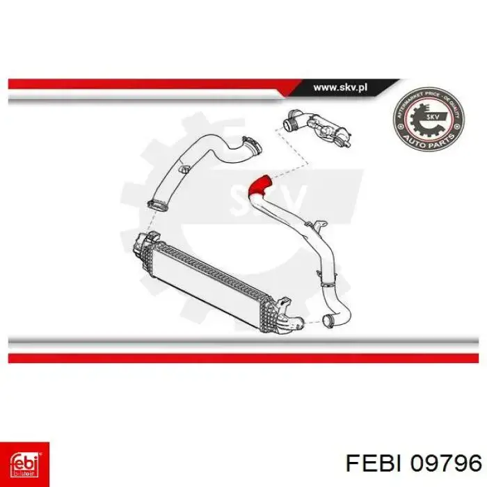 Болт кришки корінного вкладиша A3669900304 Mercedes