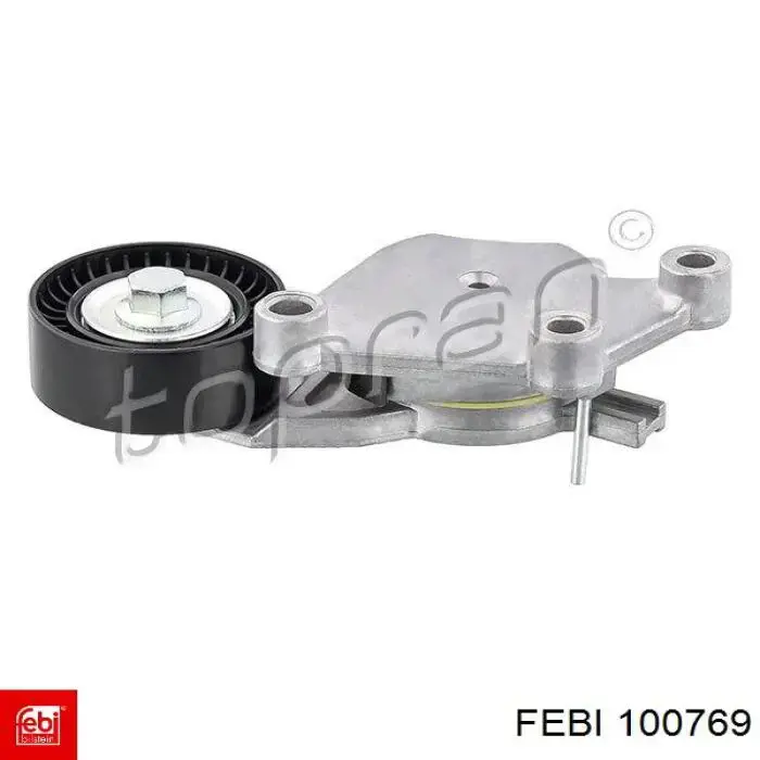  Febi 100769