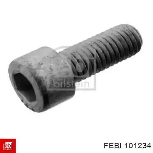 Купити 101234 Febi 