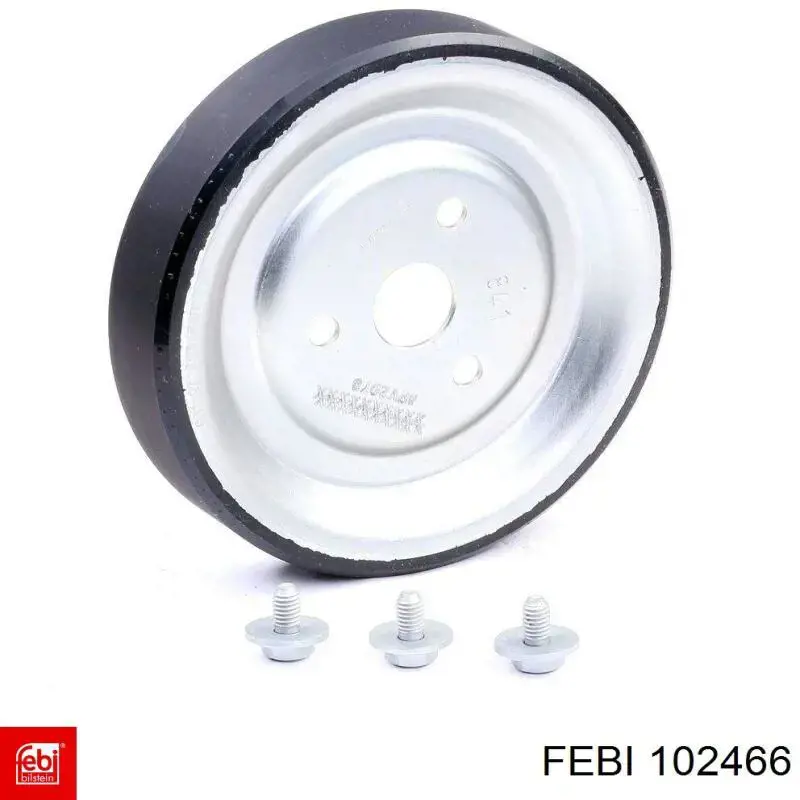 Купити 102466 Febi Шків помпи