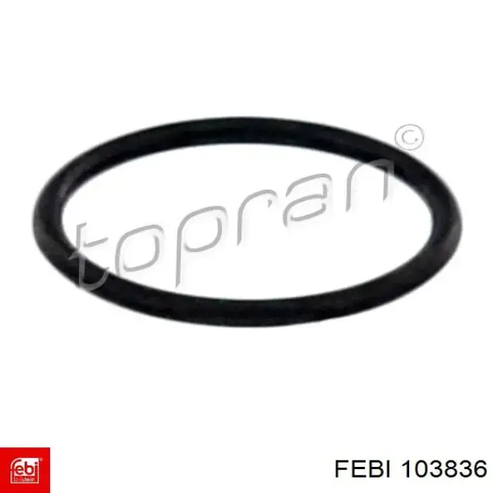 Купити 103836 Febi Кільце форсунки