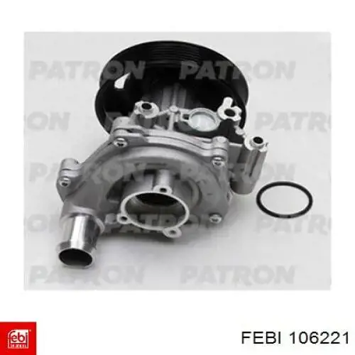 Купити 462100006R Renault (RVI) Гальмівні шланги передні