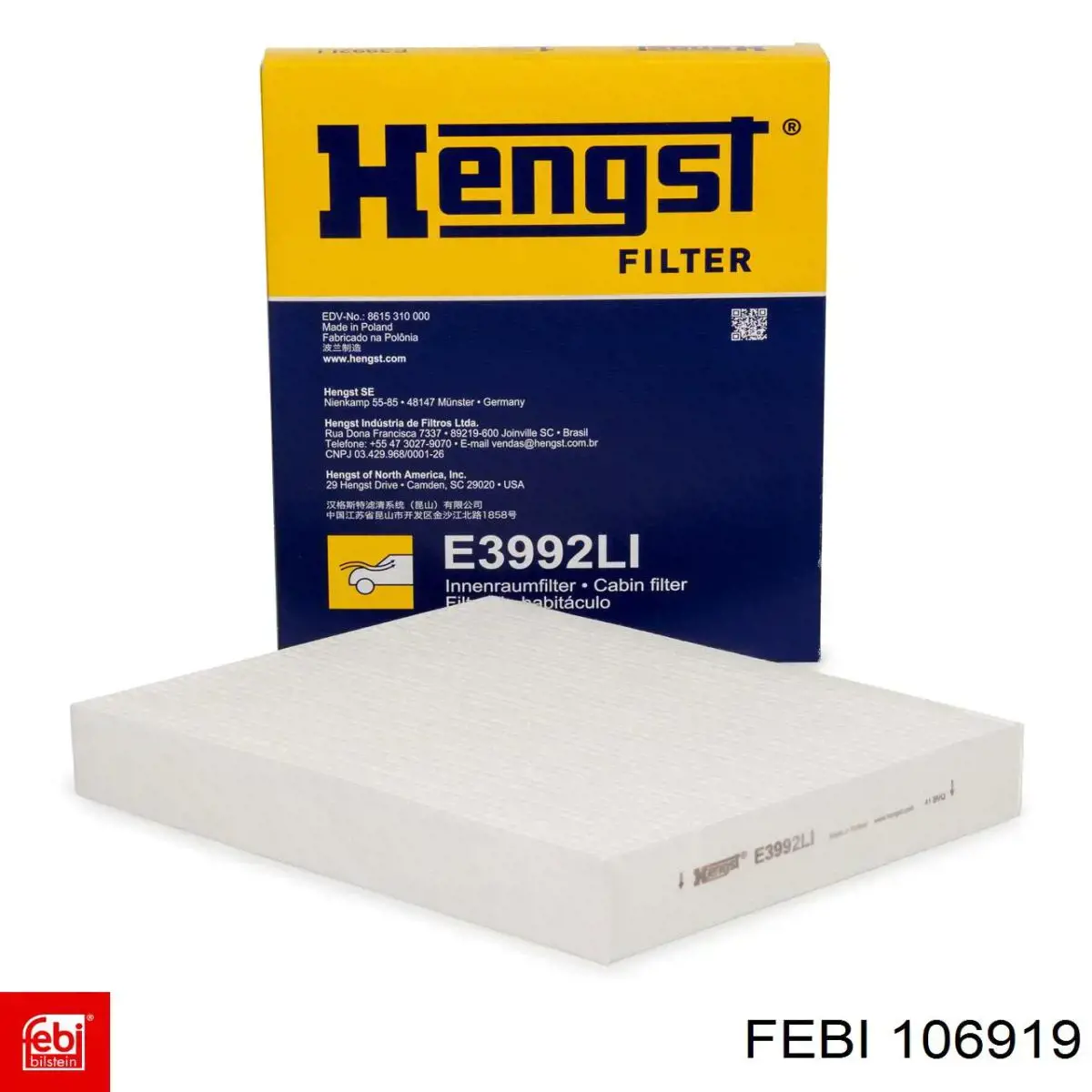 Купити 106919 Febi Фільтр салону вугільний
