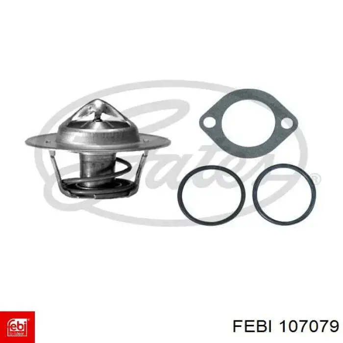  107079 Febi