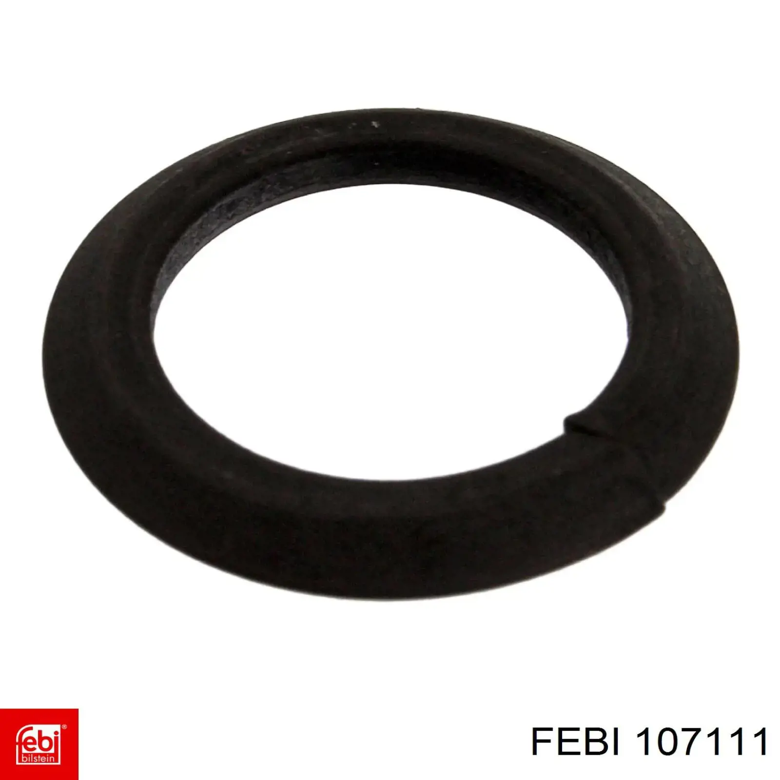 107111 Febi 