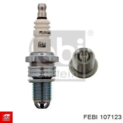 107123 Febi 
