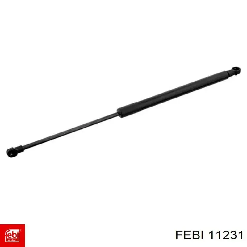 Купити STR60006 STR Палець сережки задньої ресори