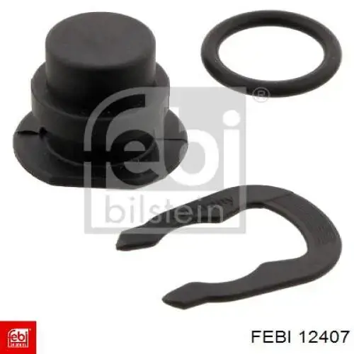 Заглушка ГБЦ/блоку циліндрів Febi 12407 ціна, від 1.02 USD