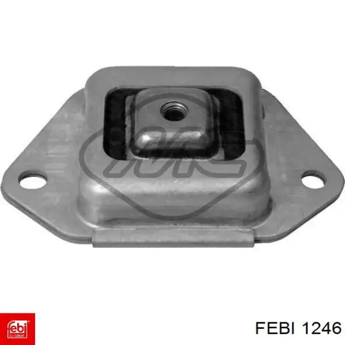 Купити 5005197 Ford Насос охолоджуючої рідини