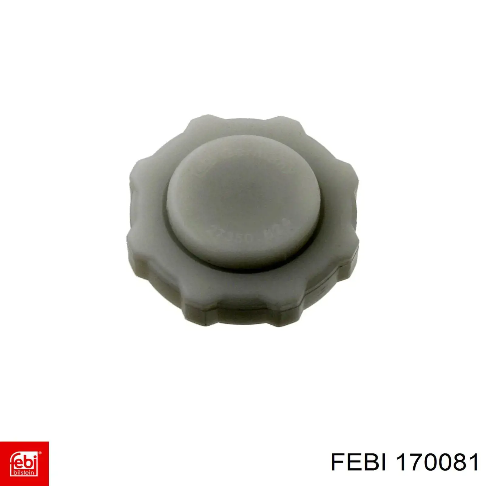 170081 Febi 