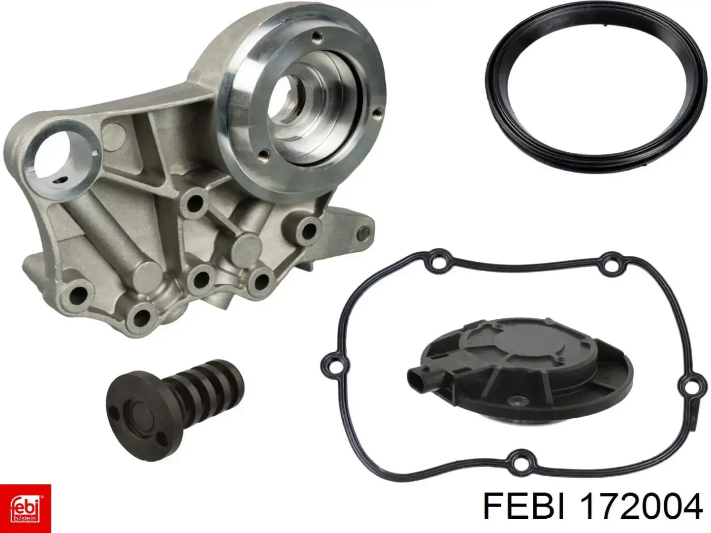 172004 Febi 
