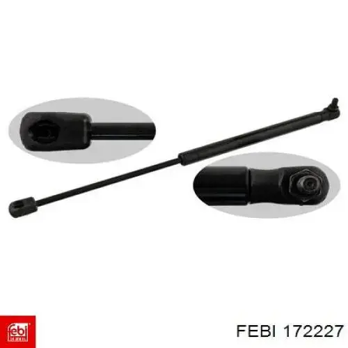Подушка (опора) двигуна, права 172227 Febi