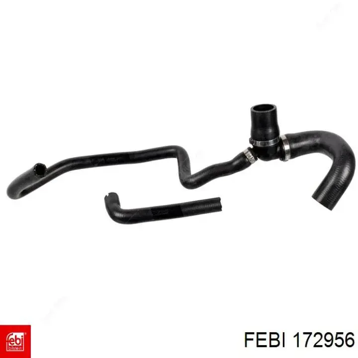 Шланг/патрубок радіатора охолодження, нижній Febi 172956 ціна, від 29.16 USD