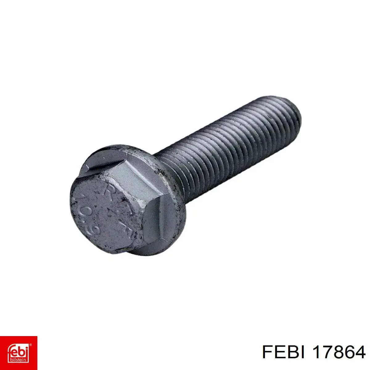 17864 Febi 