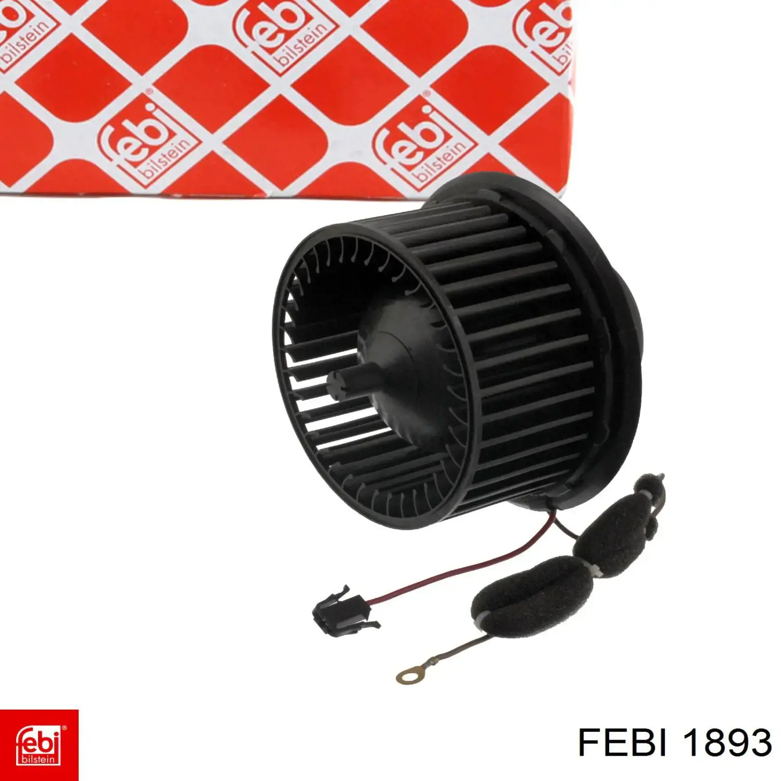1893 Febi 