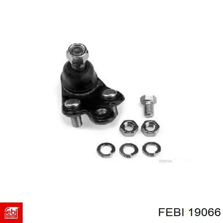 Ролик натяжителя ременя газорозподілу Febi 19066 ціна, від 9.59 USD