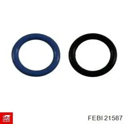 21587 Febi 