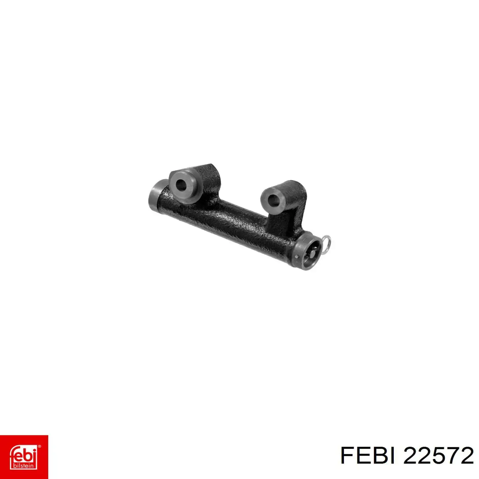 22572 Febi 