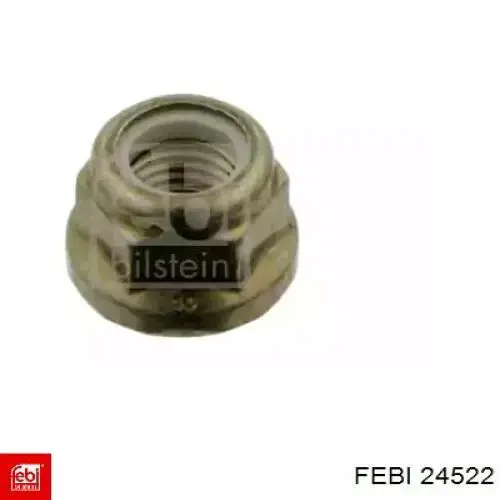  Febi 24522