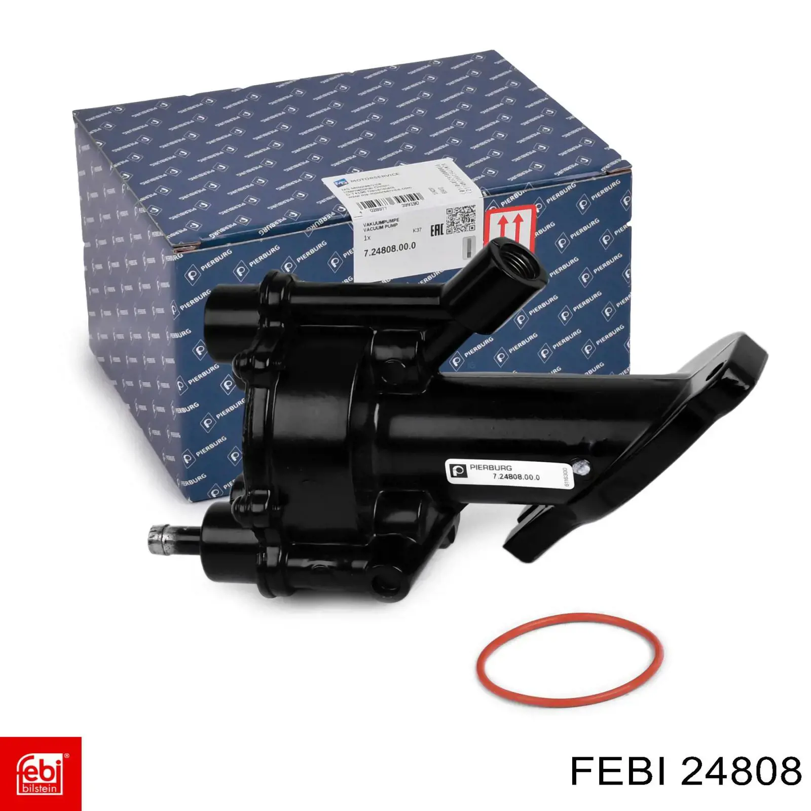  24808 Febi