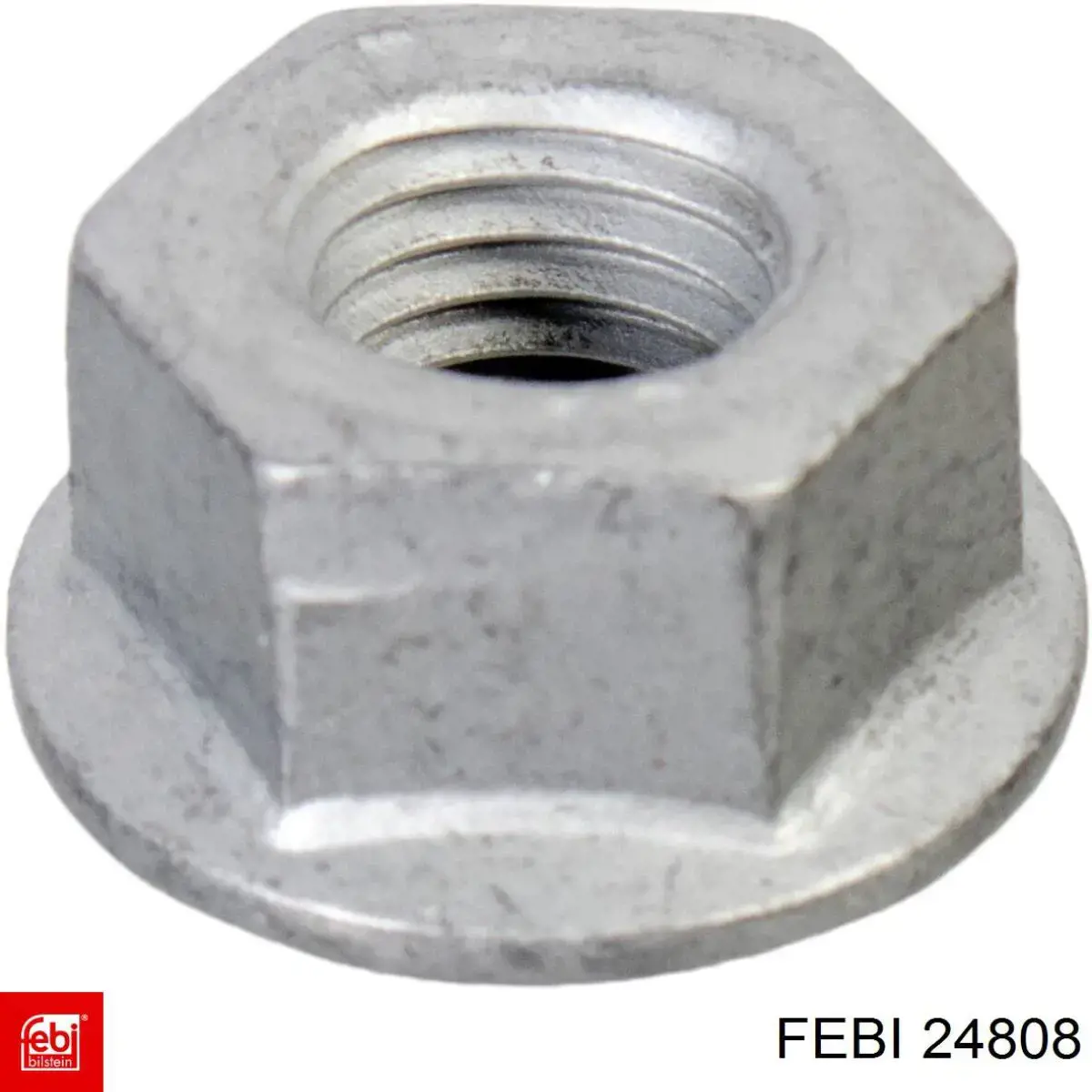  24808 Febi