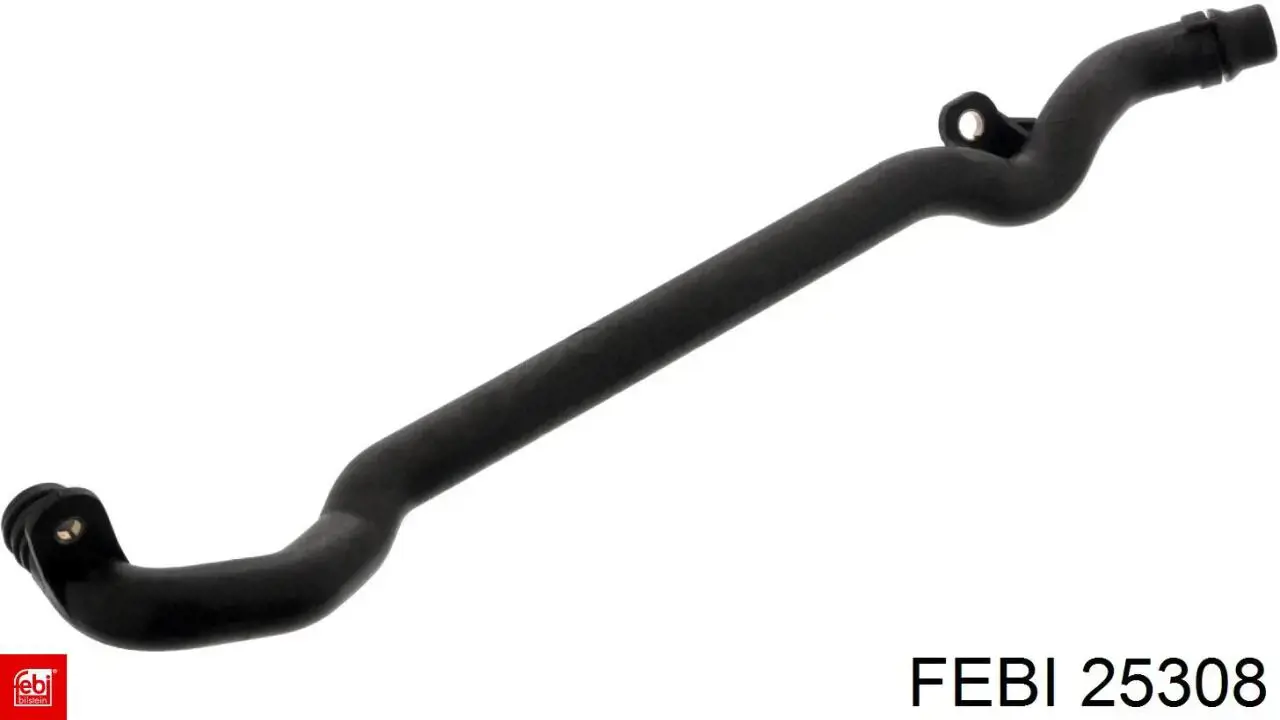  25308 Febi
