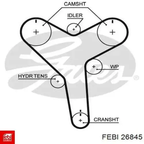Ремінь ГРМ 26845 Febi