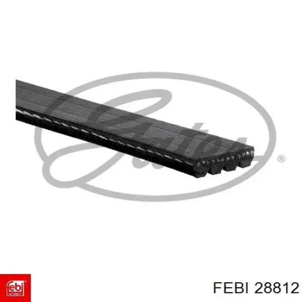 Купити 28812 Febi Ремінь генератора
