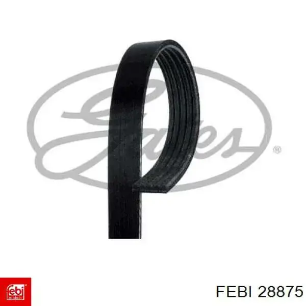Клиновий ремінь Febi 28875 ціна, від 8.61 USD